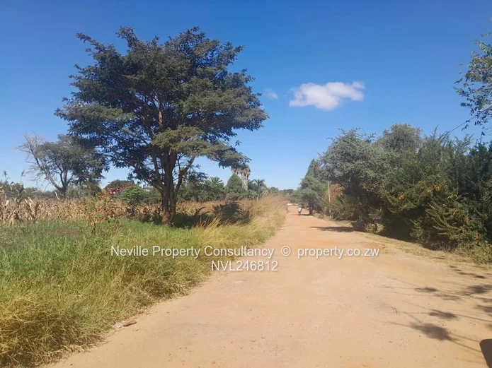 Prime 2000 m² Quinnington Stand — Tarred Roads, Trees