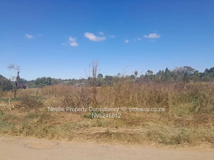 Prime 2000 m² Quinnington Stand — Tarred Roads, Trees